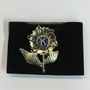 Borstspel kiwanis silv rose